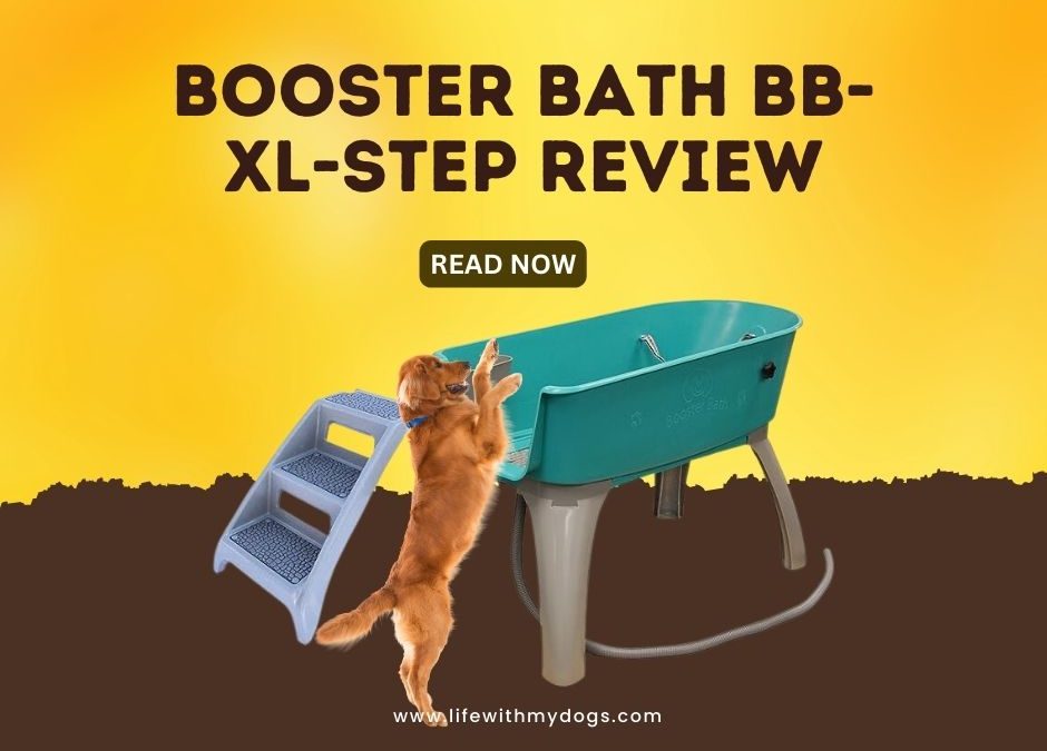 Booster Bath BB-XL-Step Review