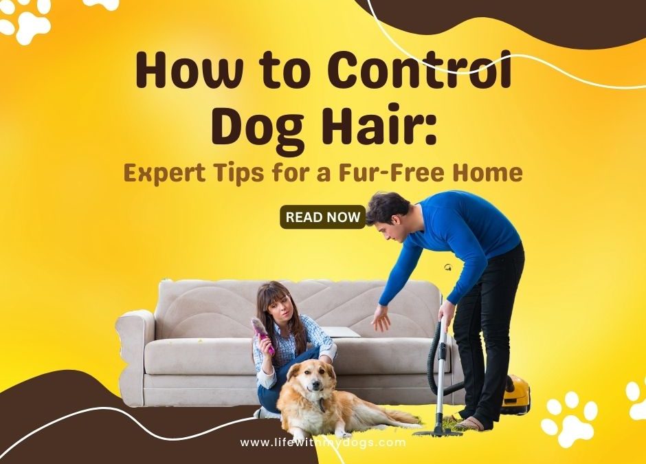 How to Control Dog Hair: Expert Tips for a Fur-Free Home