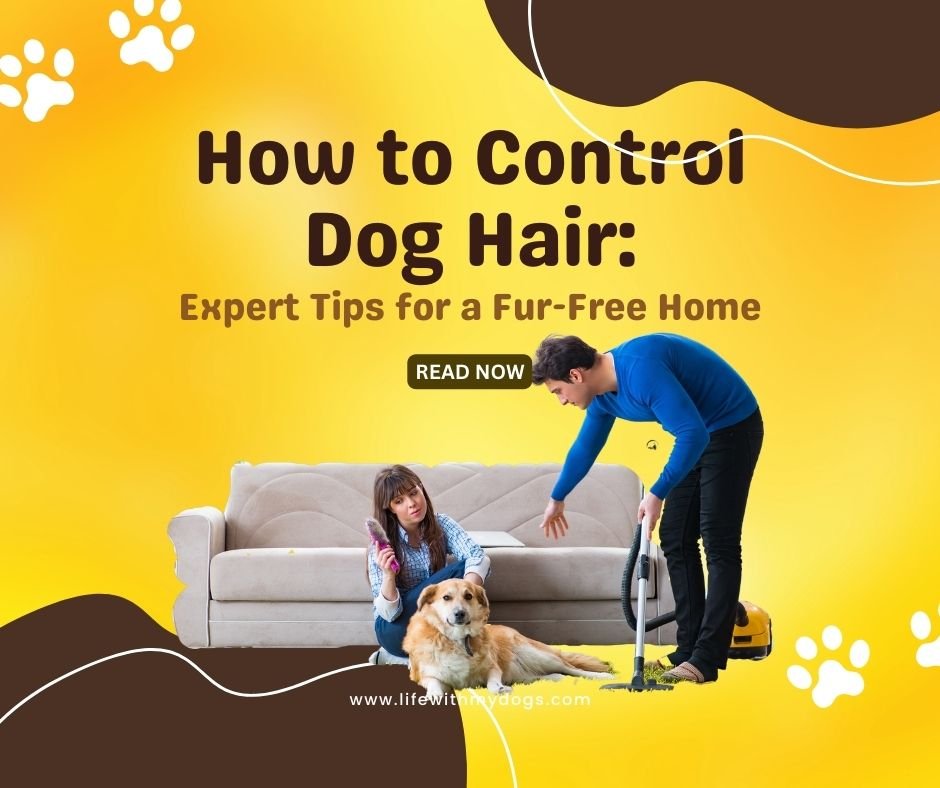 how-to-control-dog-hair-expert-tips-for-a-fur-free-home