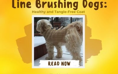 Line Brushing Dogs Healthy and Tangle-Free Coat