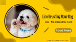line brushing your dog
