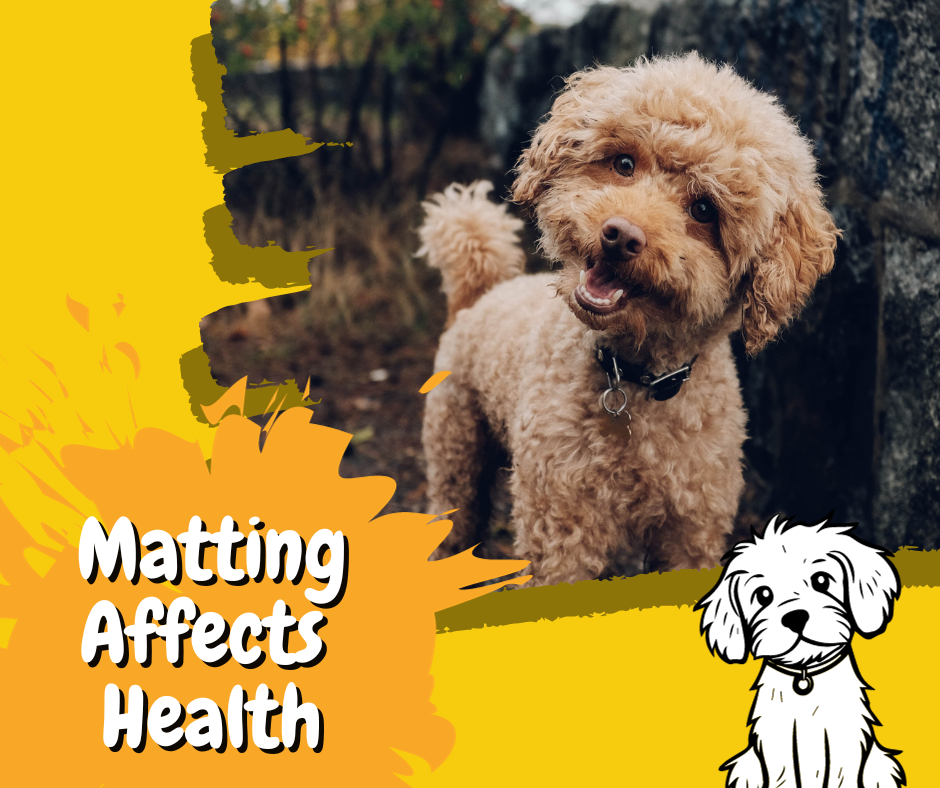 matting affects health