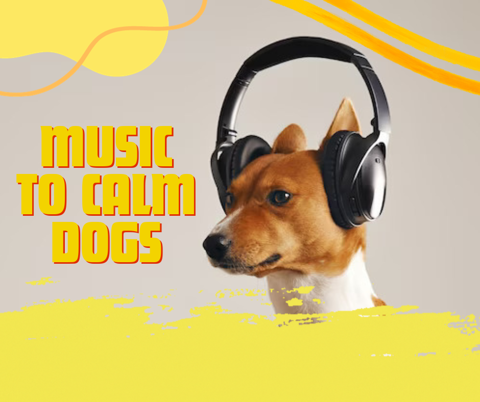 music calms dogs, music to calm dogs, music calm dogs
