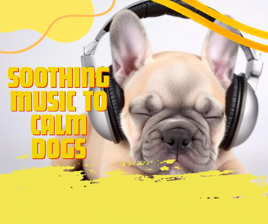 music to calm dogs, combine calming music