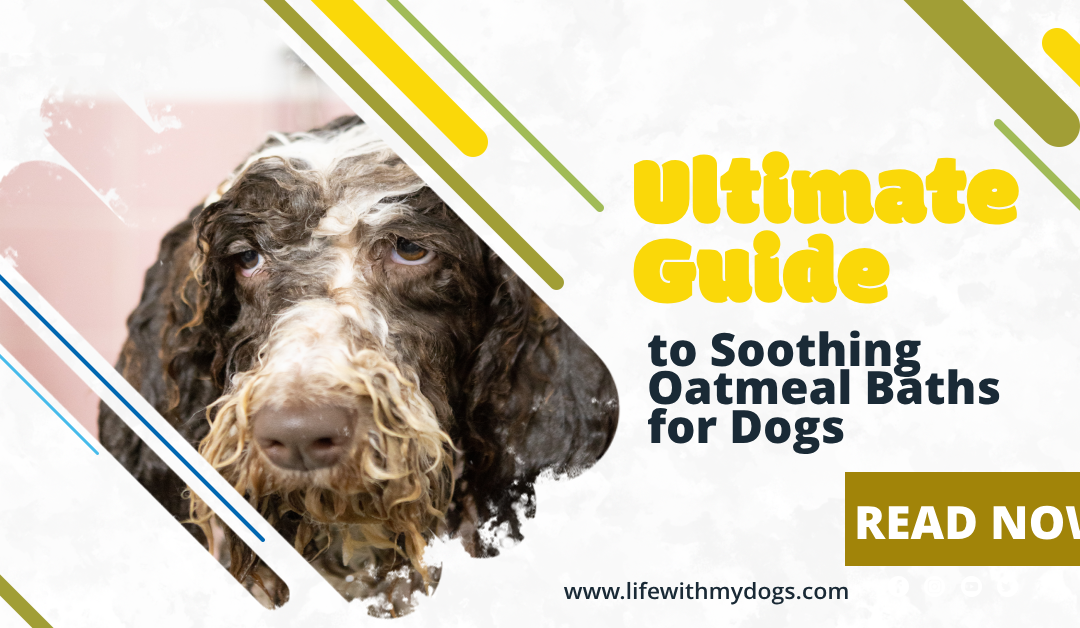 Ultimate Guide to Soothing Oatmeal Baths for Dogs
