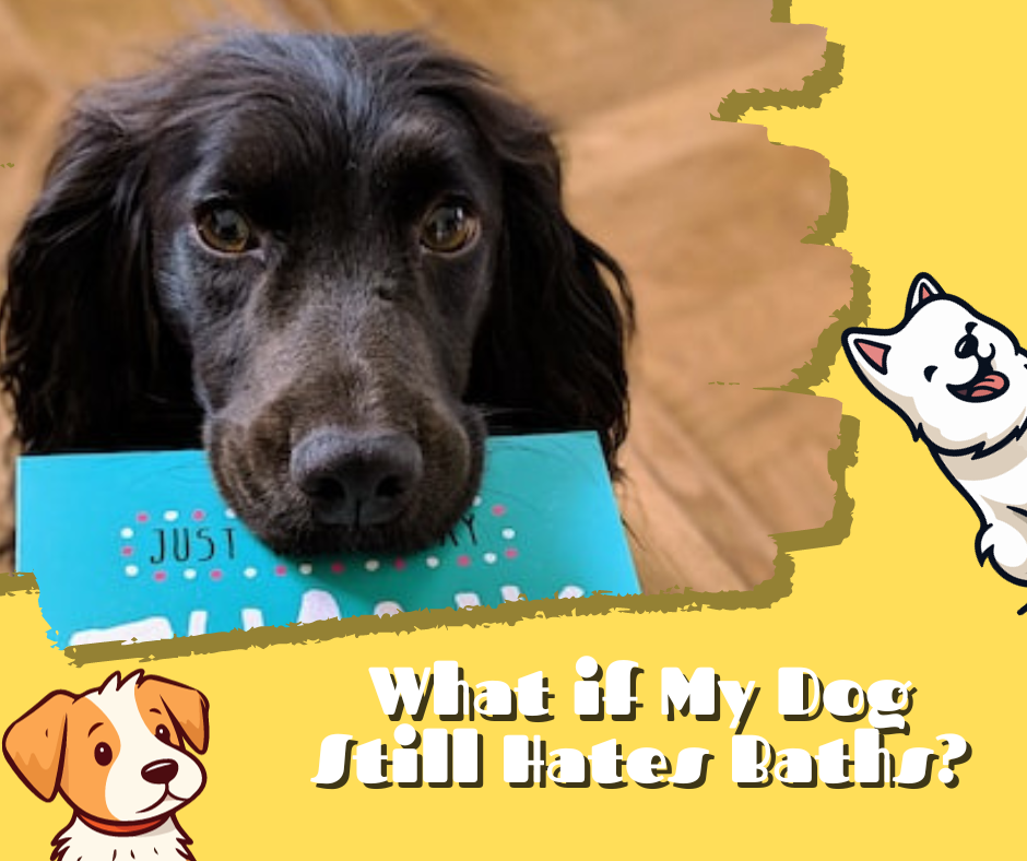 What if My Dog Still Hates Baths