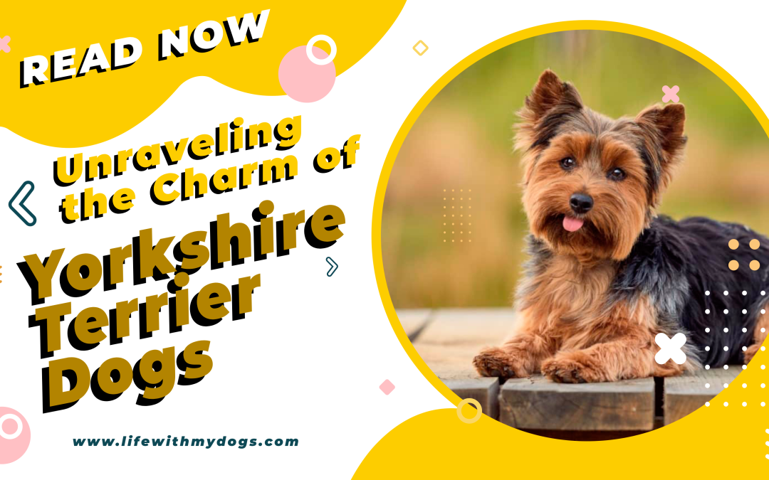 Unraveling the Charm of Yorkshire Terrier Dogs