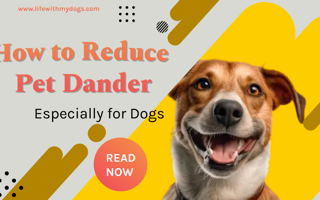 How to Reduce Pet Dander Especially for Dogs