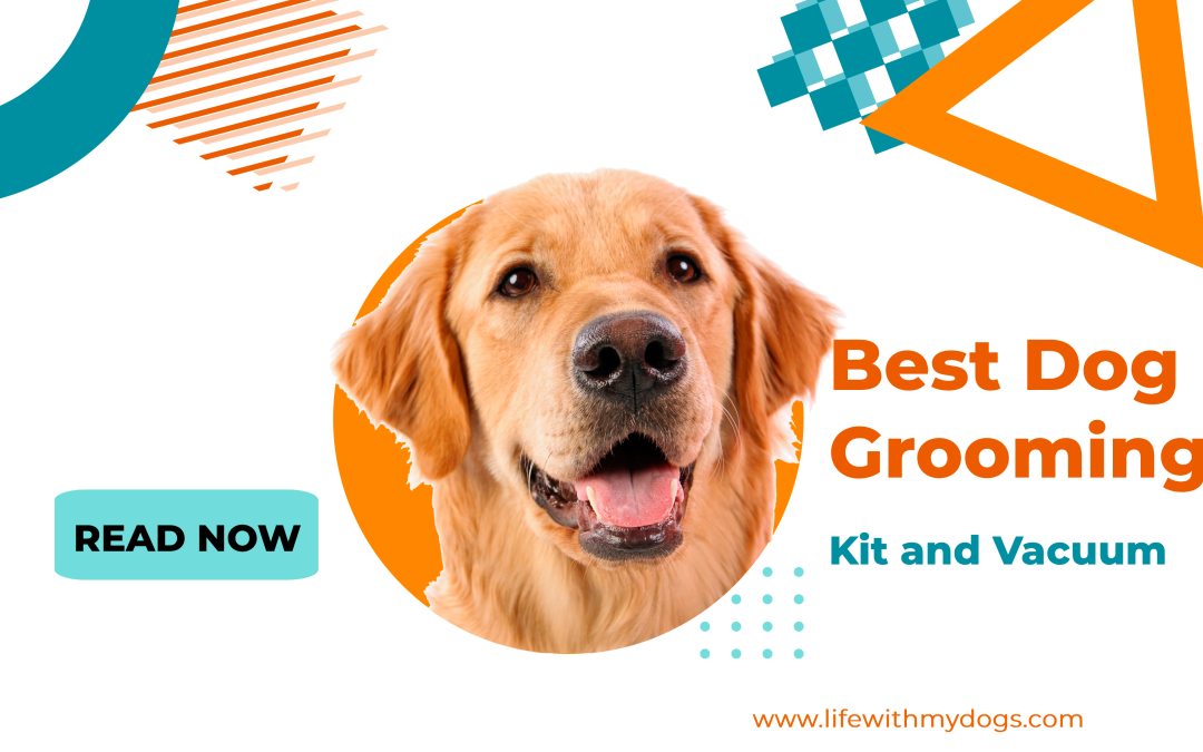 Best Dog Grooming Kit and Vacuum