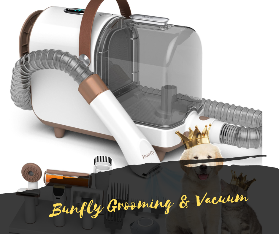 Bunfly Grooming & Vacuum Bunfly Grooming & Vacuum