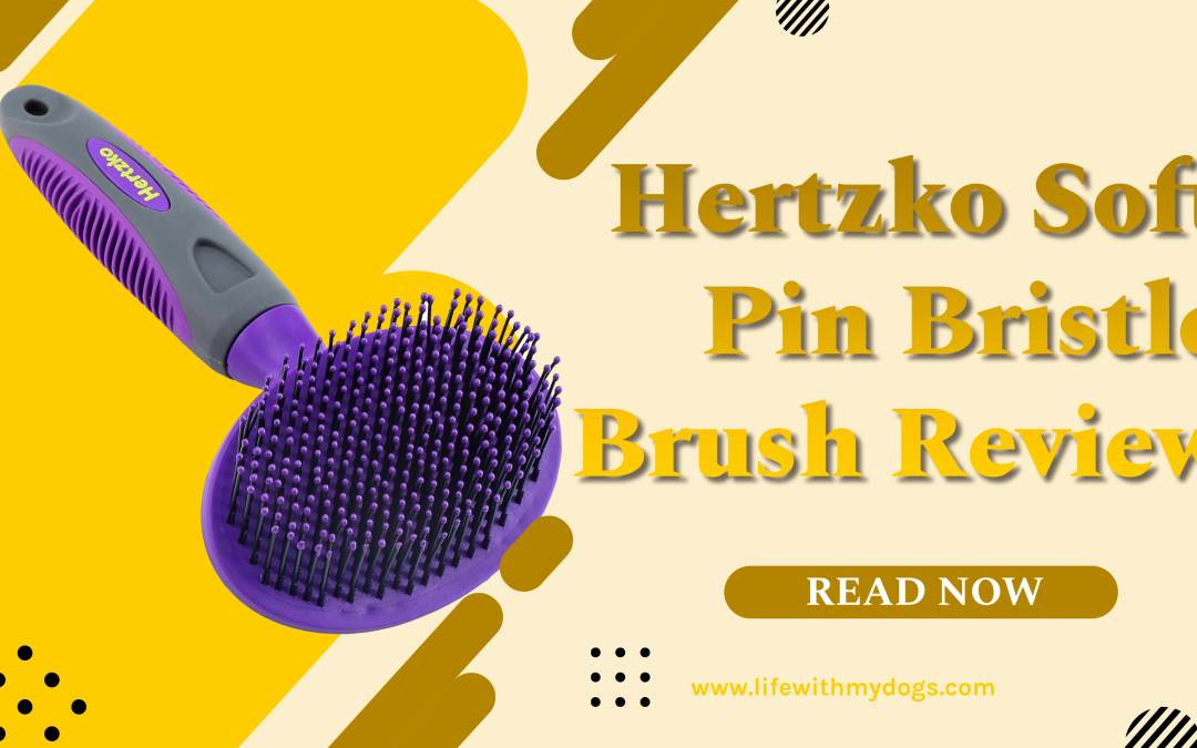 Hertzko Soft Pin Bristle Brush Review