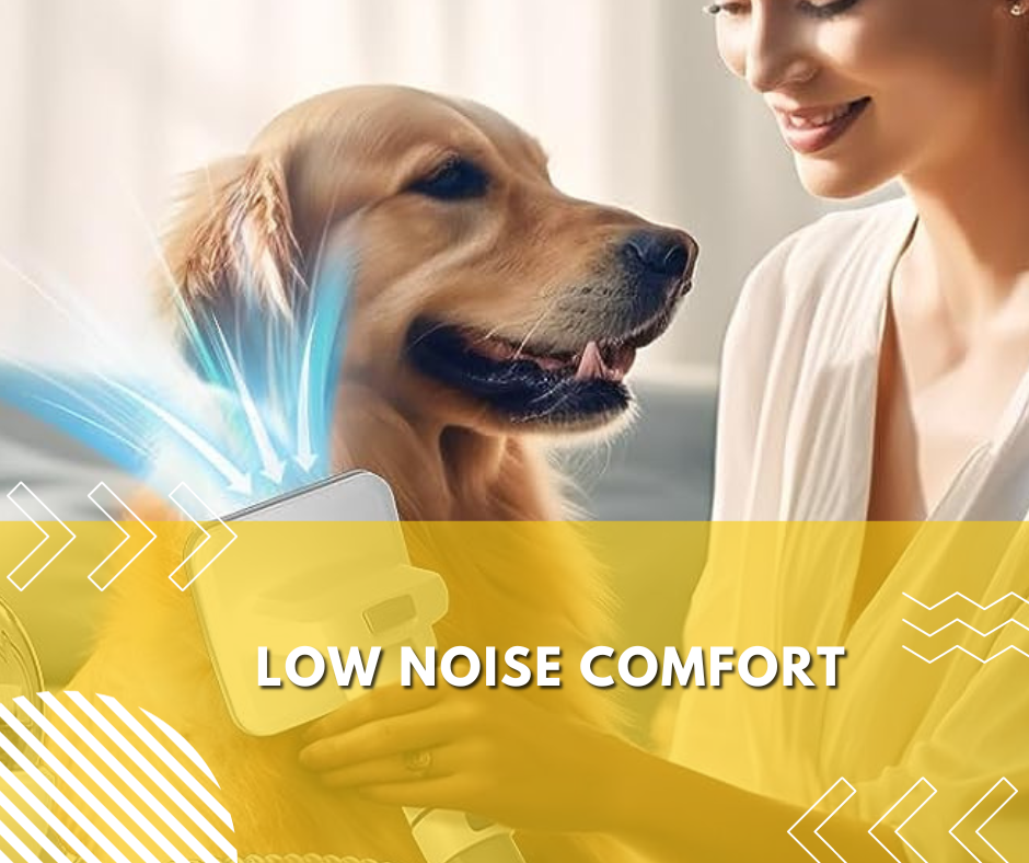 Low Noise Comfort
