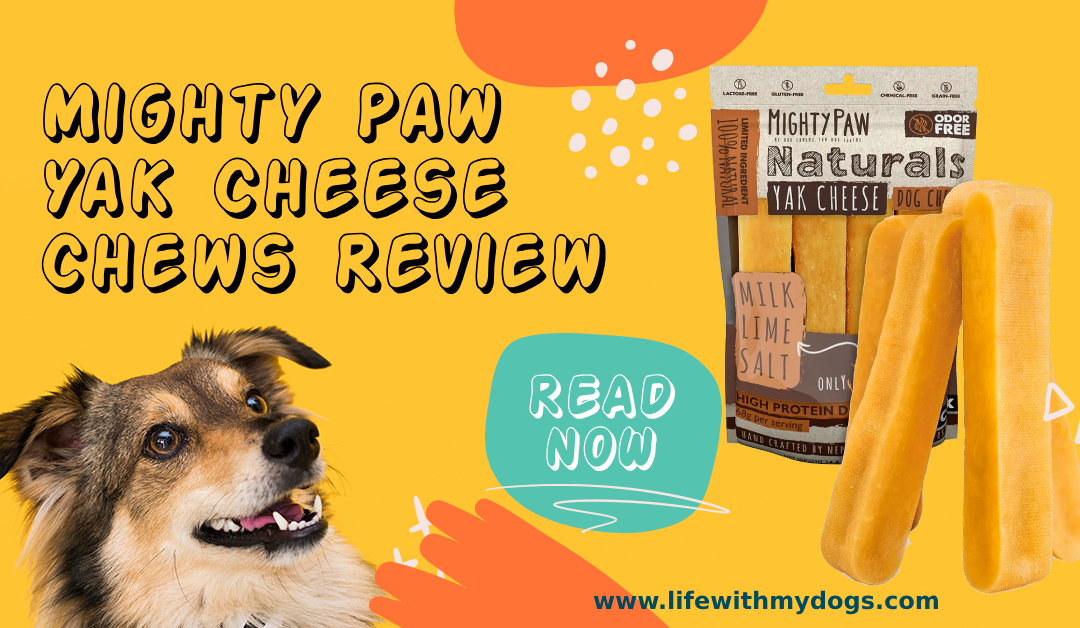 Mighty Paw Yak Cheese Chews Review