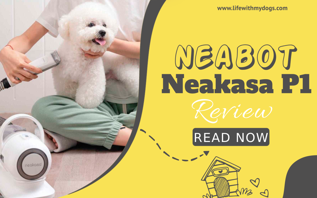 Neabot Neakasa P1 Pro Review