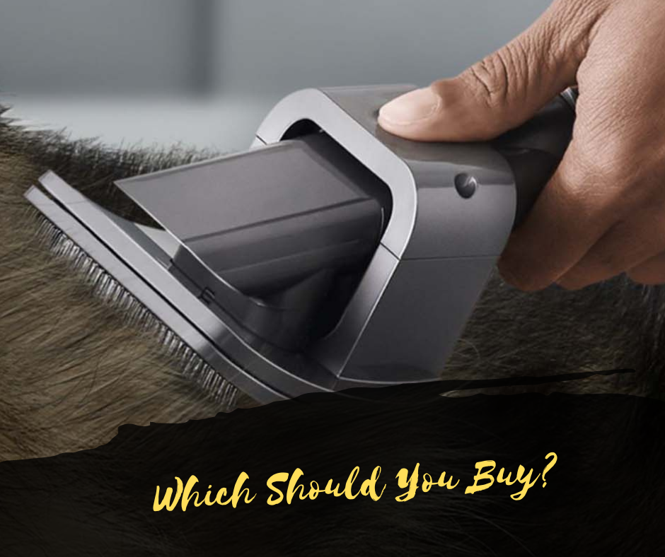 Which Should You Buy