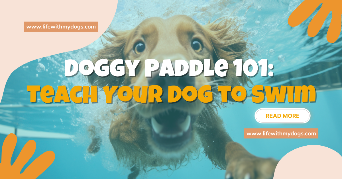 Doggy Paddle 101: Teach Your Dog to Swim - Life With My Dogs