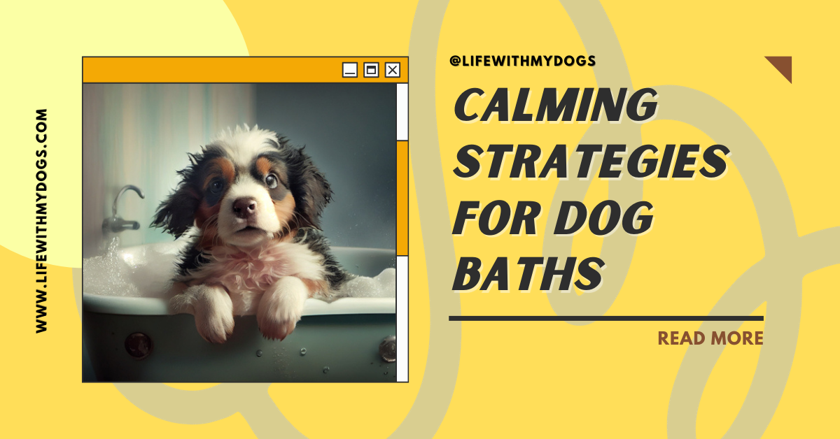 Why Do Dogs Hate Baths? ( & Tips to Soothe a Scared Dog)