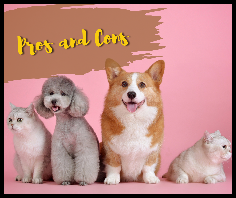 Pros and cons, Hertko Dog & Cat Brush