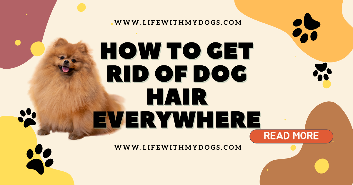 How to Get Rid of Dog Hair Everywhere: Tackling Those Pesky Dog Hairs