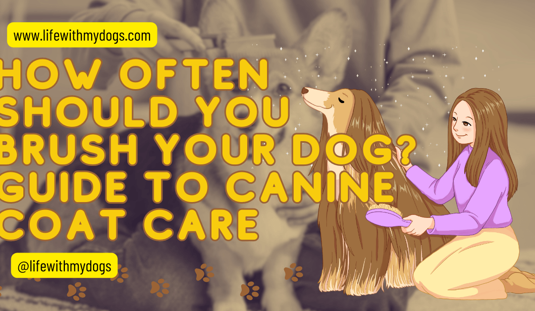 How Often Should You Brush Your Dog? Guide to Canine Coat Care