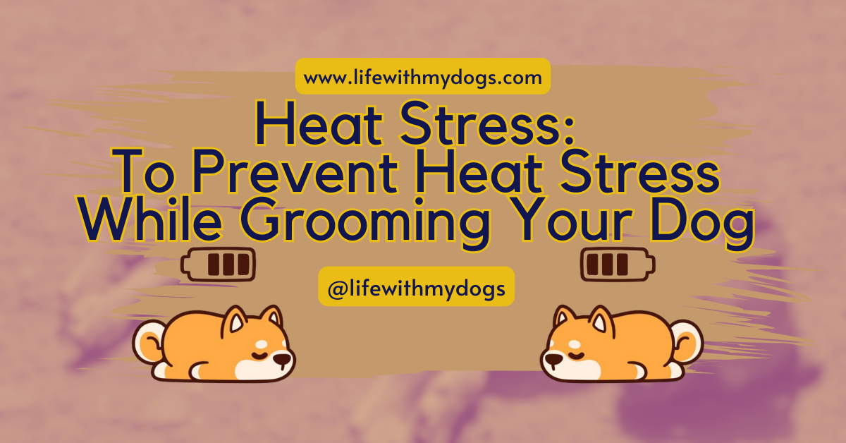 Heat Stress: To Prevent Heat Stress While Grooming Your Dog