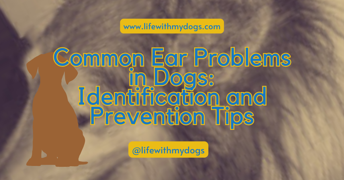 Common Ear Problems in Dogs: Identification and Prevention Tips