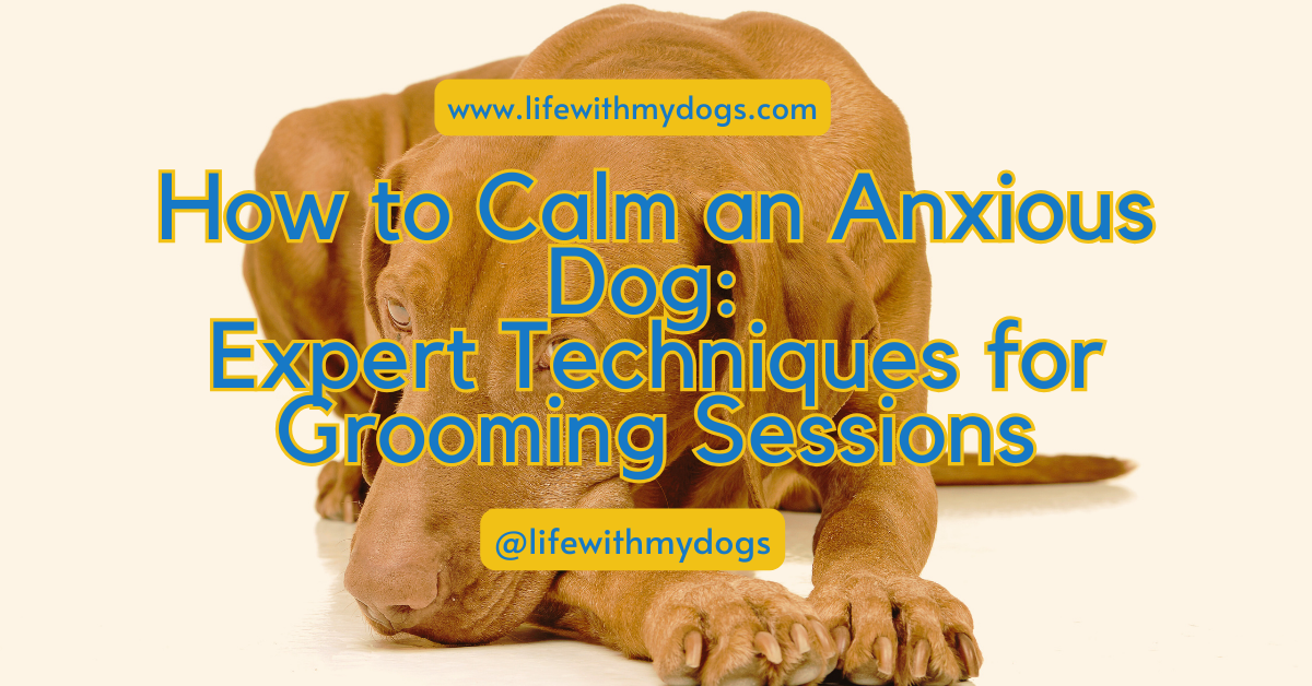 How to Calm an Anxious Dog: Expert Techniques for Grooming Sessions