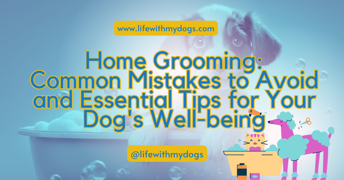 Home Grooming: Common Mistakes to Avoid and Essential Tips for Your Dog’s Well-being