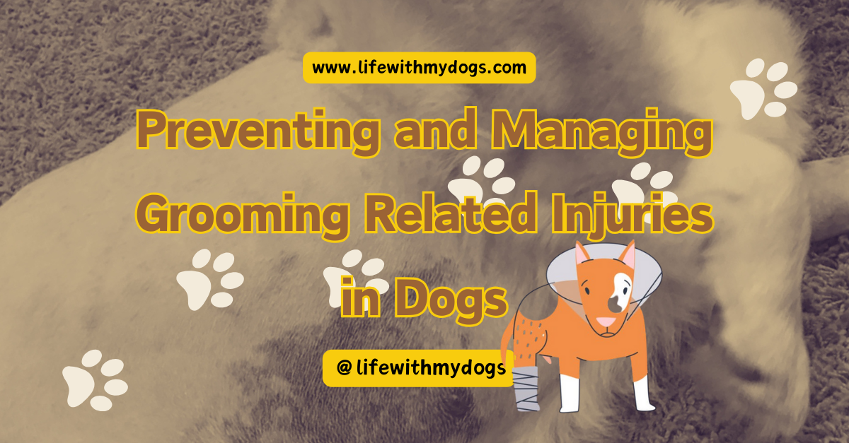 Preventing and Managing Grooming Related Injuries in Dogs