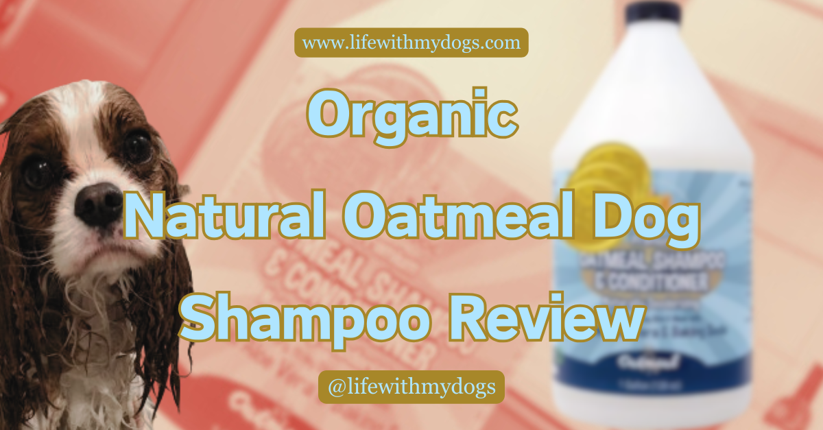 Organic Natural Oatmeal Dog Shampoo Review