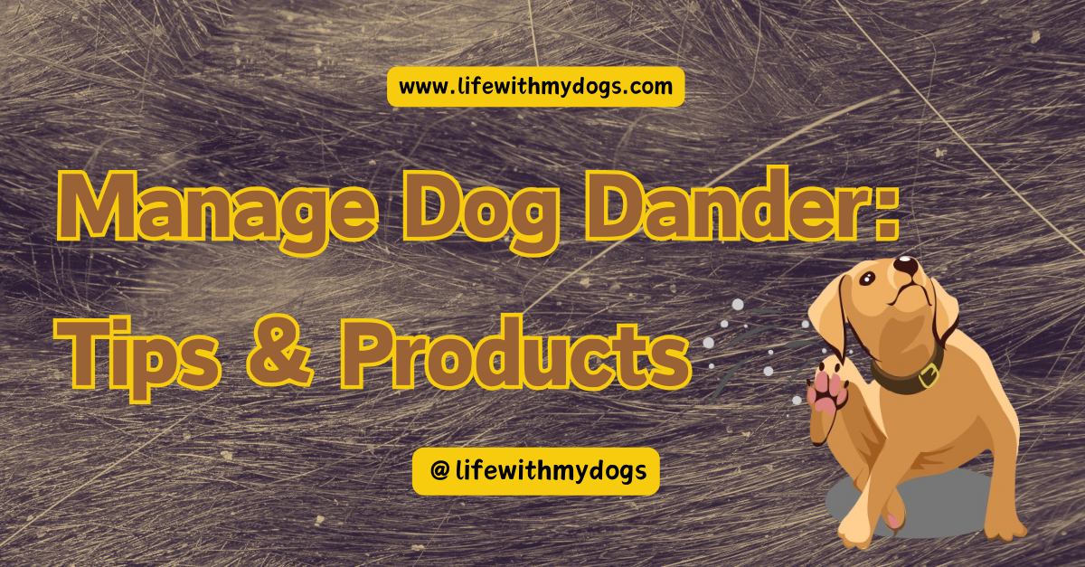 Manage Dog Dander: Tips & Products