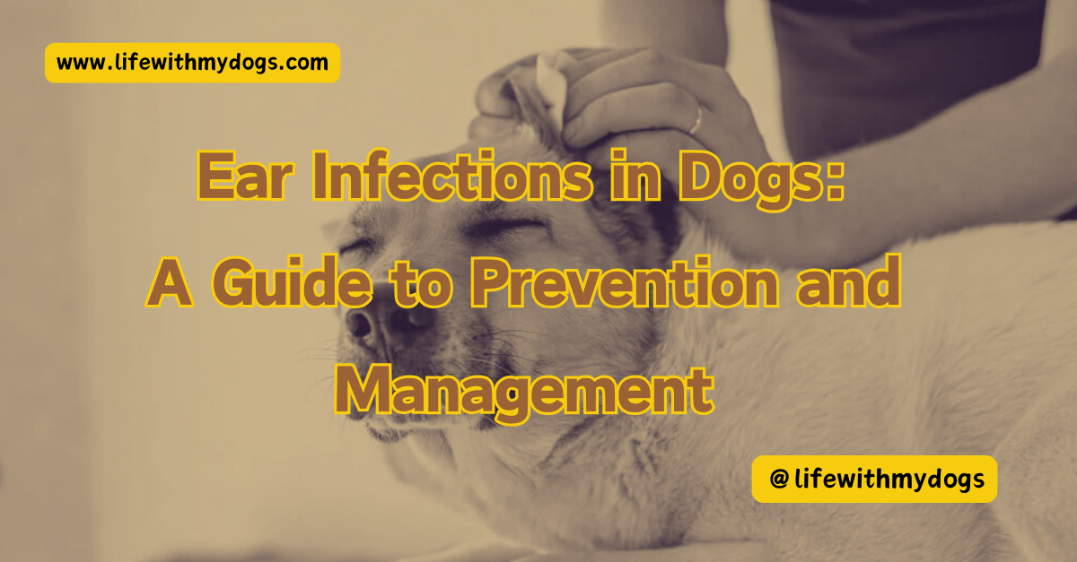 Ear Infections in Dogs: A Guide to Prevention and Management