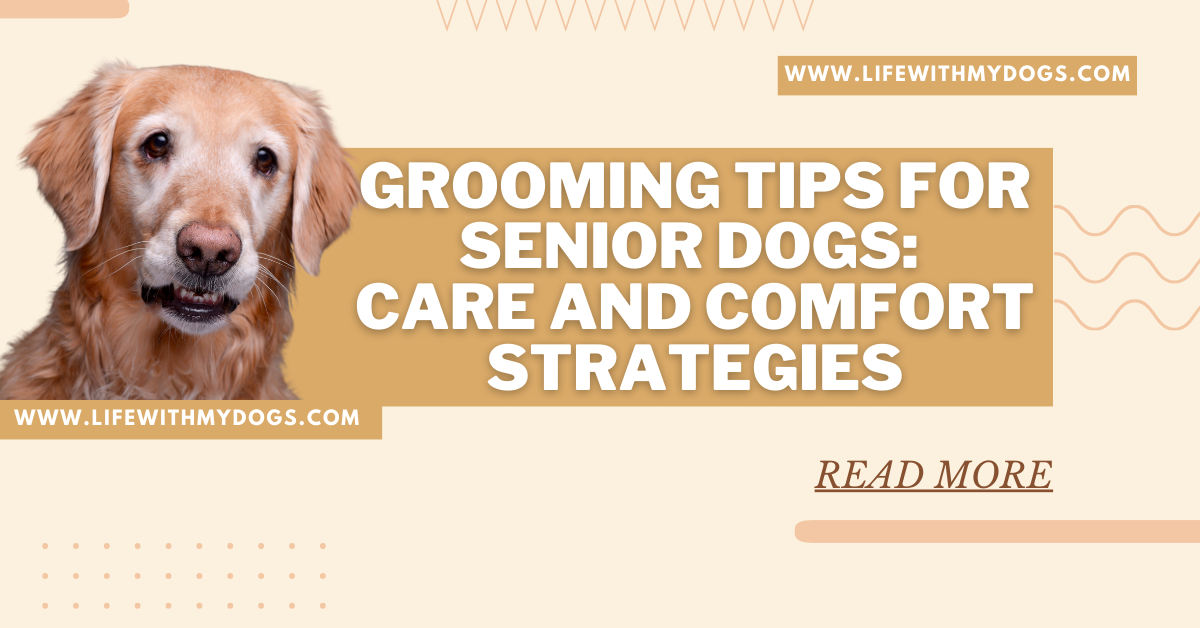 Grooming Tips for Senior Dogs: Care and Comfort Strategies
