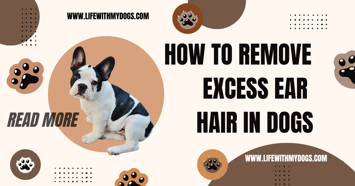 How to Remove Excess Ear Hair in Dogs
