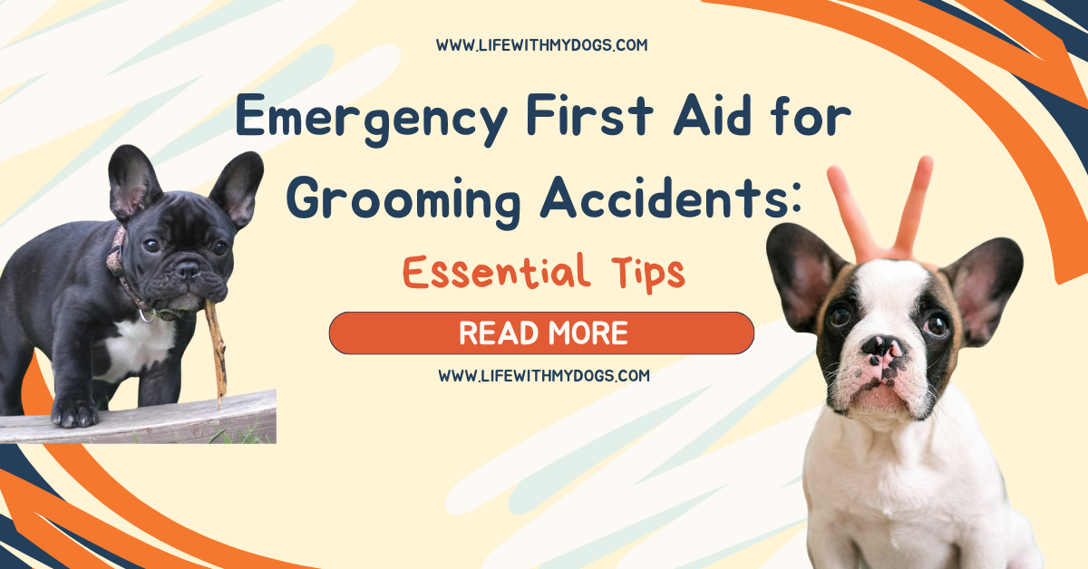 Emergency First Aid for Grooming Accidents: Essential Tips