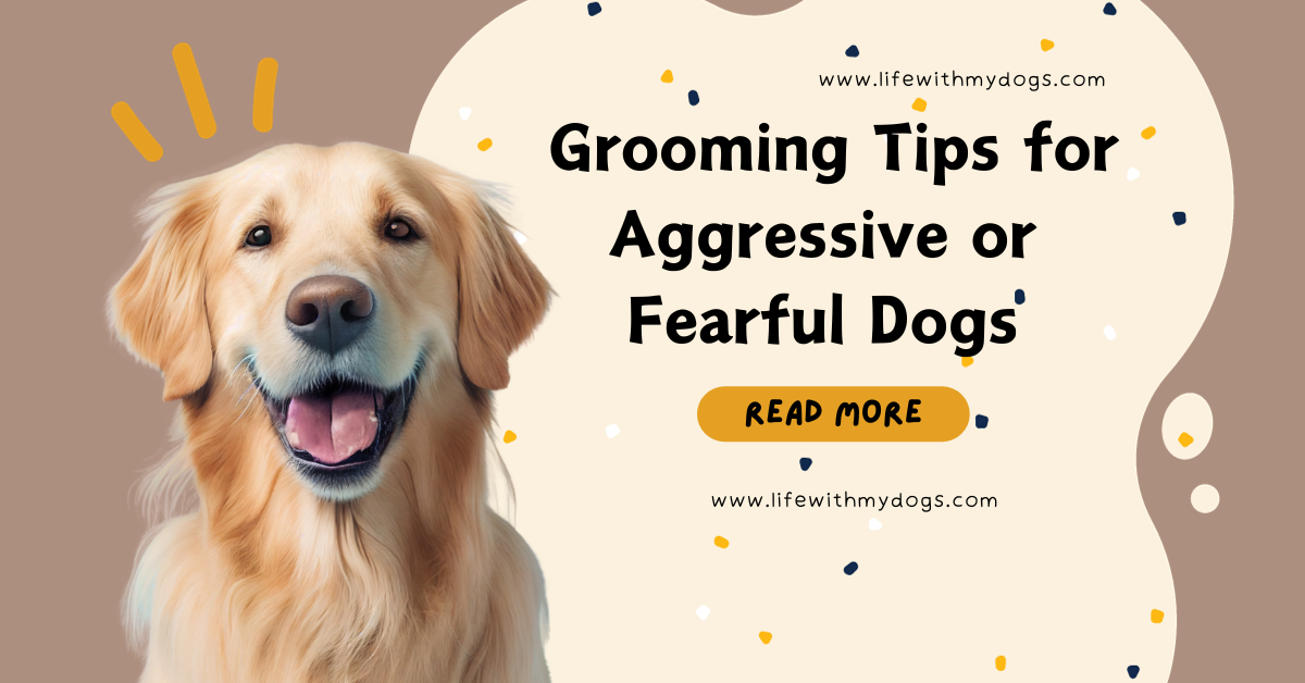Grooming Tips for Aggressive or Fearful Dogs: Essential Strategies