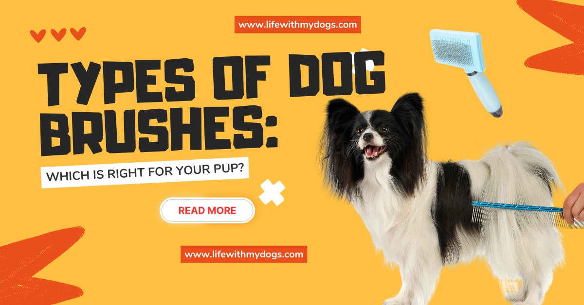 Types of Dog Brushes: Which is Right for Your Pup?