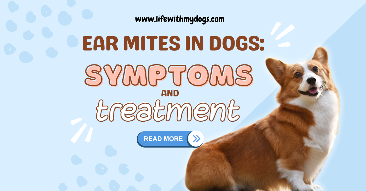 Ear Mites in Dogs: Symptoms and Treatment