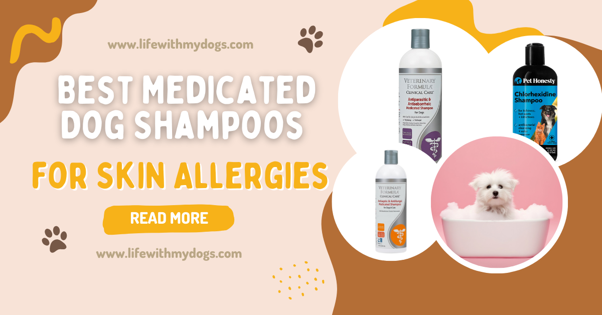 Best Medicated Dog Shampoos for Skin Allergies