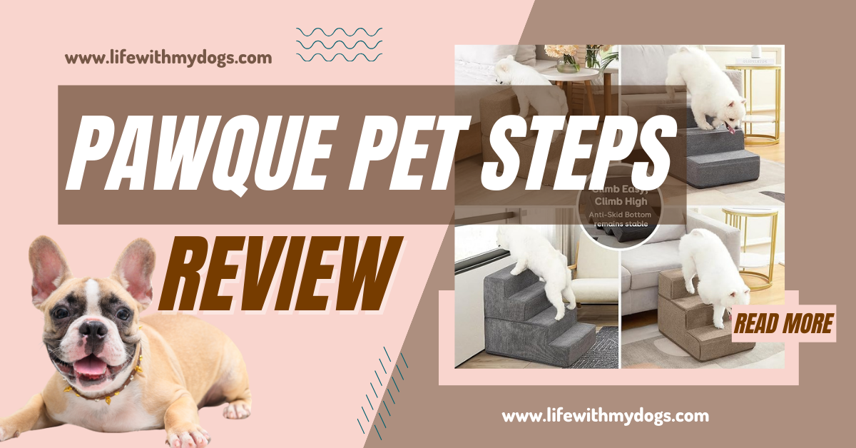 Pawque Pet Steps Review