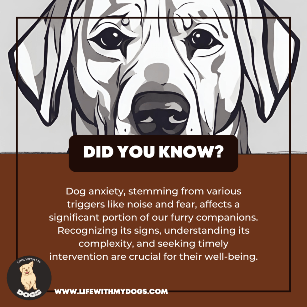 Image showcasing Separation Anxiety in Dogs - Causes and Cures - Life With My Dogs