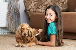 mistakes to avoid grooming your dog