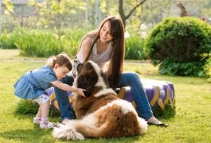 mistakes to avoid grooming your dog