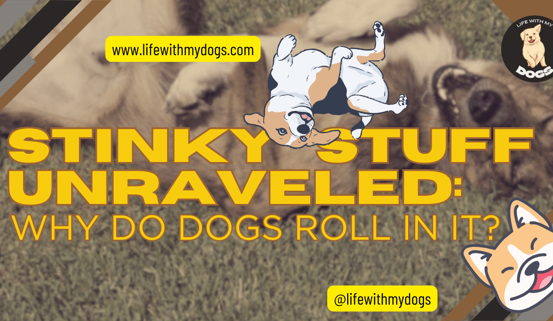 Stinky Stuff Unraveled: Why Do Dogs Roll in It? - Life With My Dogs