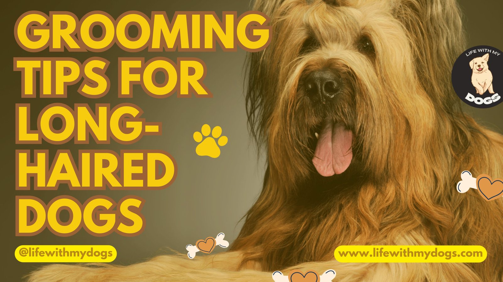Photo inspiration: Grooming Tips For Long Haired Dogs Photo Inspiration