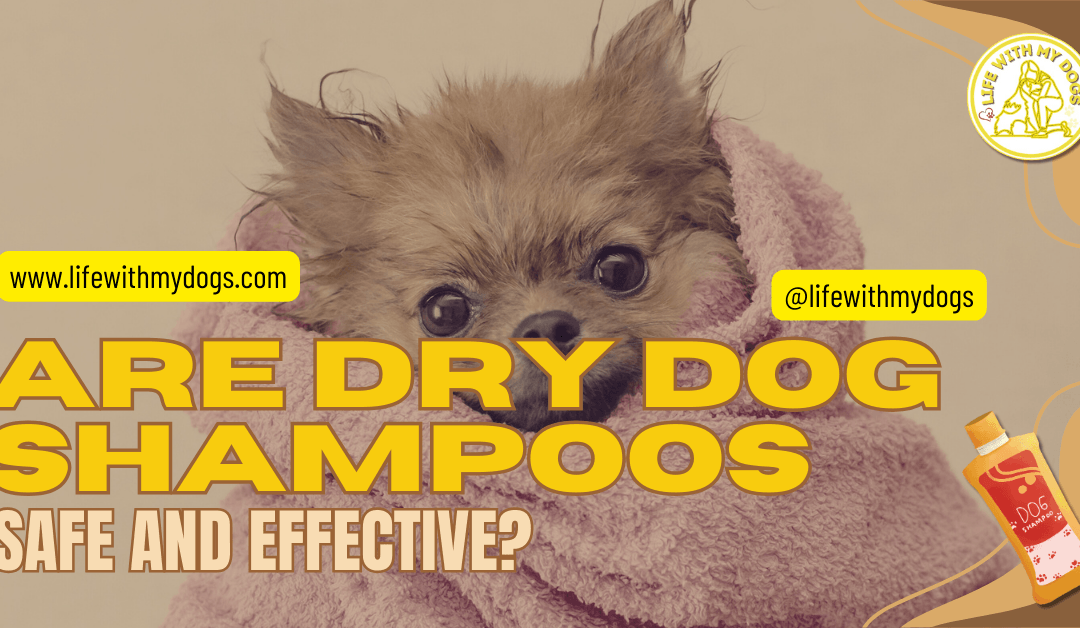 Are Dry Dog Shampoos Safe and Effective?