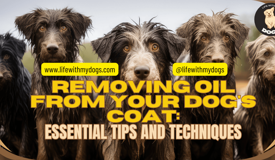 Removing Oil from Your Dog’s Coat: Essential Tips and Techniques
