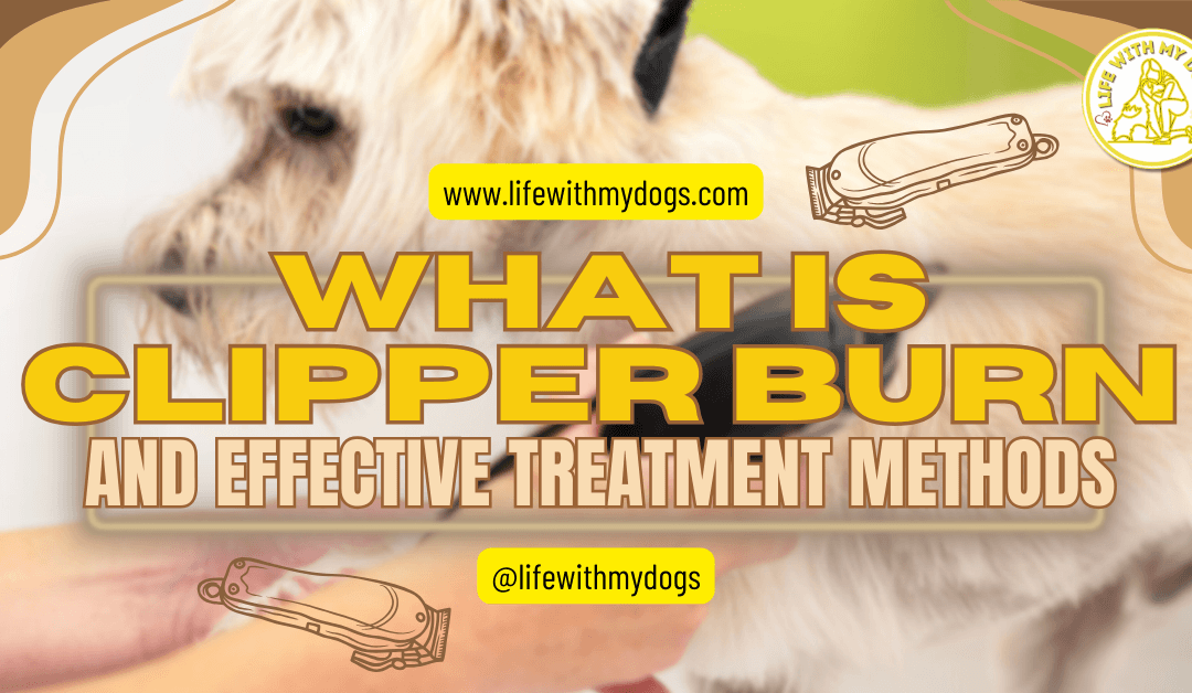 What is Clipper Burn and Effective Treatment Methods