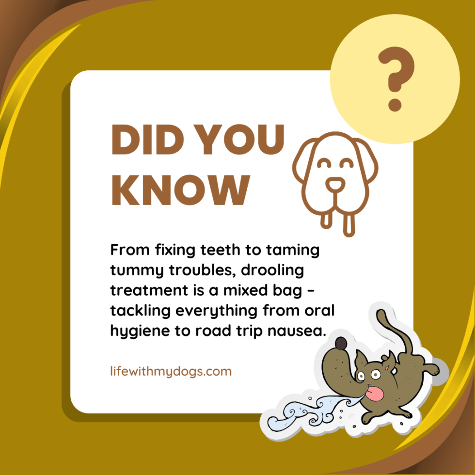 How Do I Clean Dog Drool From My Dog's Coat? Life With My Dogs