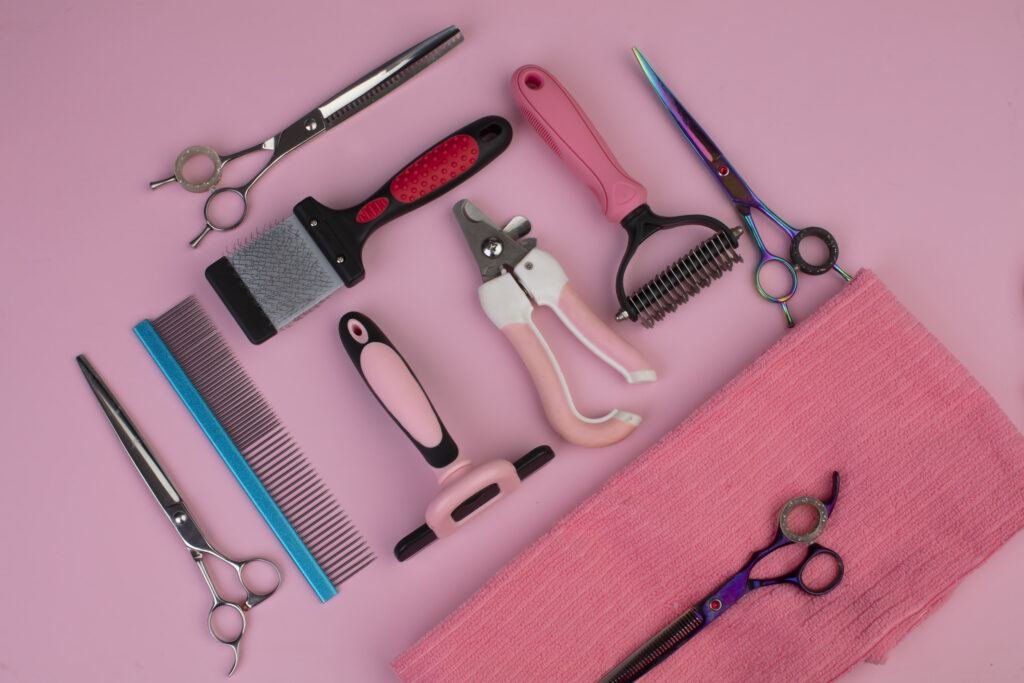 Grooming Tips for Puppies